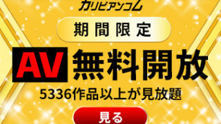 今田美玲の魅力を徹底解剖！人気AV女優の秘密と注目作品